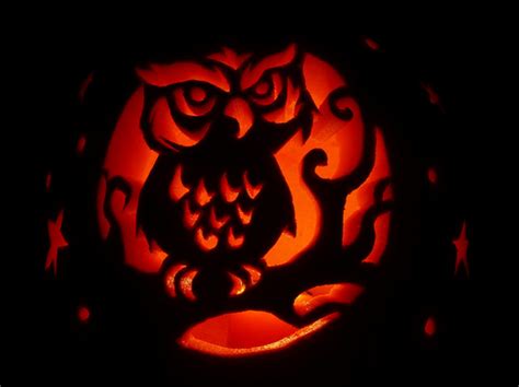 Owl Jack O Lantern Design