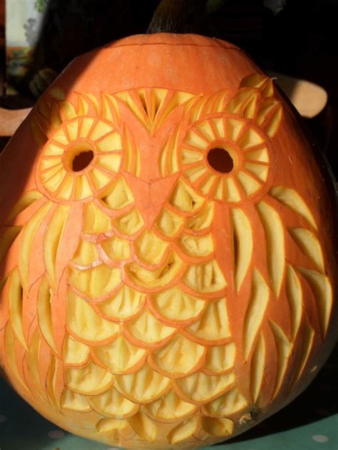 Owl Jack O Lantern Easy