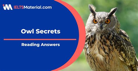 +29 Owl Secrets Reading Answer Going Viral
