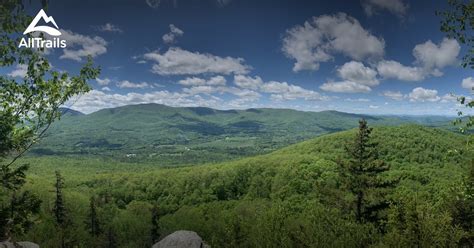 Owls Head Town Forest
