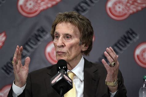 owner of the detroit red wings
