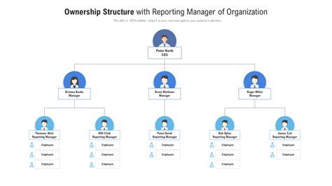 Ownership Structure Sample