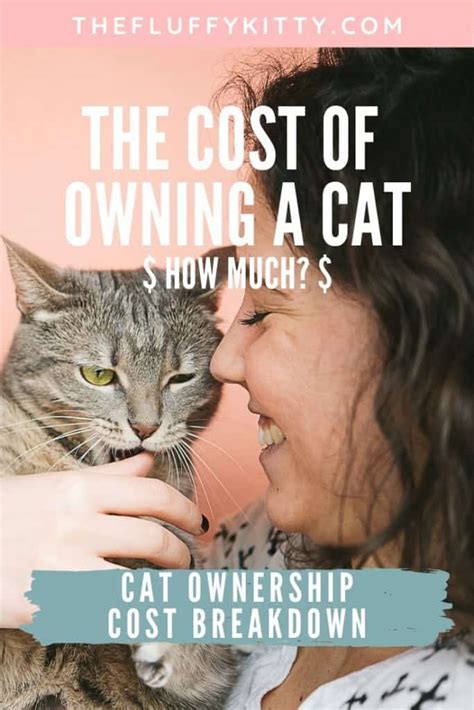 Owning A Kitty