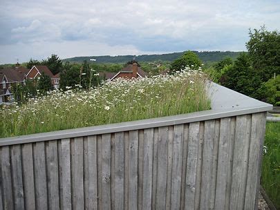 oxford green roofs