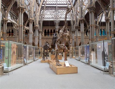 oxford museum of natural history website