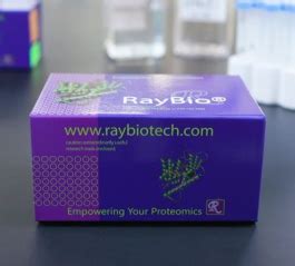 Oxidation Detection Kit