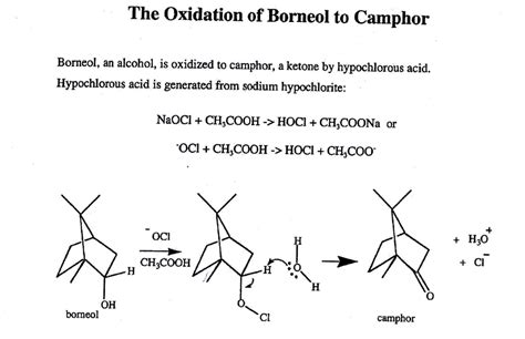 oxidation of isoborneol to camphor reaction