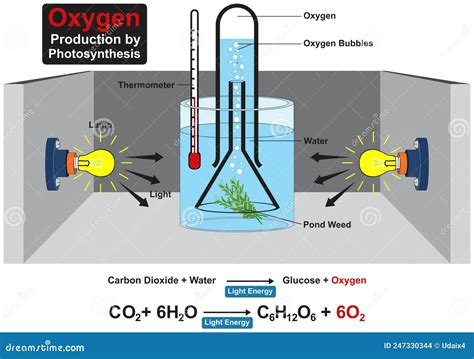 oxygen production