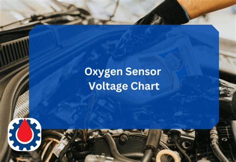 Oxygen Sensor Reference Voltage