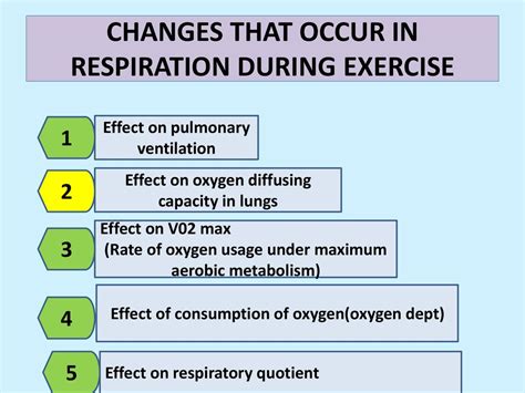 Oxygen Ventilation During Exercise