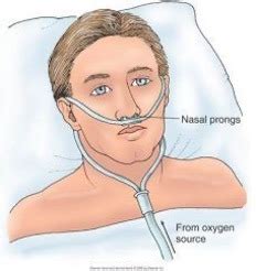 Oxygenation Quizlet Questions