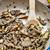 oyster mushroom recipe italian