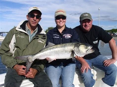 oyster bay bluefish tournament