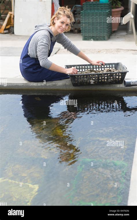 Oyster Farm Worker