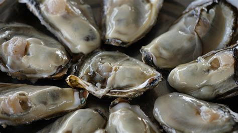 Oysters on the half shell