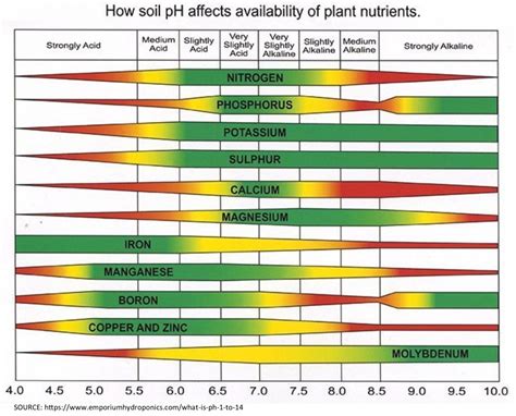 pH-buffering soil