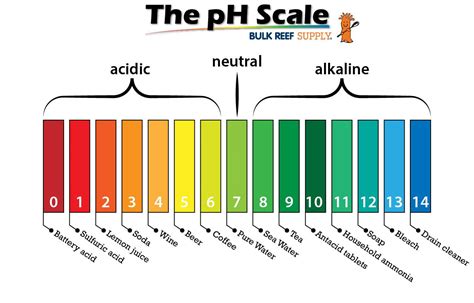 pH scale fish tank