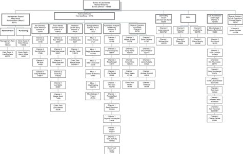 CHP Organizational Chart College of Health Professions Texas State