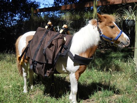 pack saddle for horse