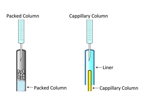 Packed Column Gas Chromatography Method