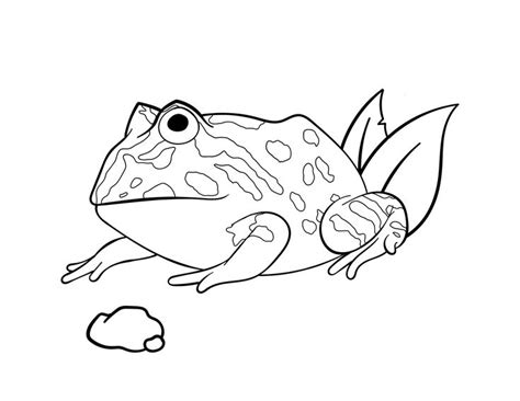 Pacman Frog Coloring Pages