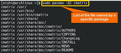 Pacman Query Package