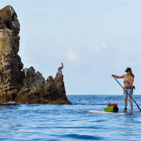 paddleboarding near cliffs