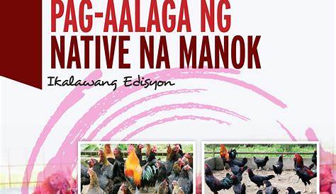 Pag-aalaga ng Native na Manok