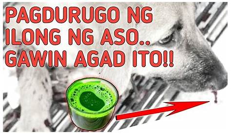 First Aid sa Pagdurugo Ng Ilong: Ano Ang Dapat Gawin?