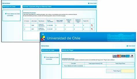 Métodos de Pago Online en Chile