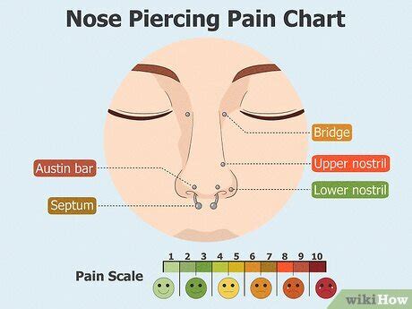 Pain Beginner Nose Piercing Chart