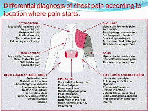 Pain Below Chest Left Side