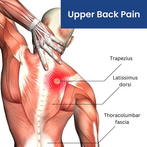 Pain In Armpits And Upper Back