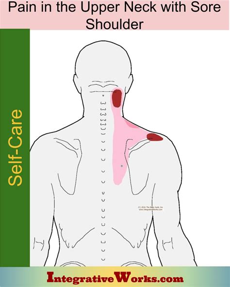 pain in left shoulder blade and neck