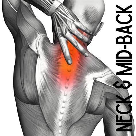 pain in the back of my neck