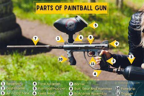 Paint Ball Ingredients