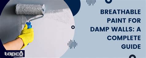 Paint Damp Bathroom Walls