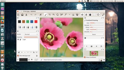 Paint Equivalent In Ubuntu