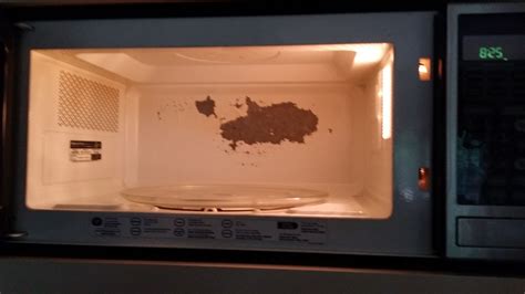 Paint In Microwave