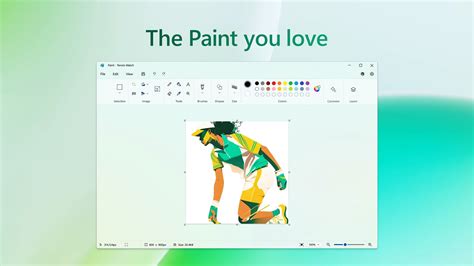 Paint Is An Example Of Which Software