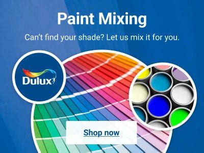Paint Mixing Store