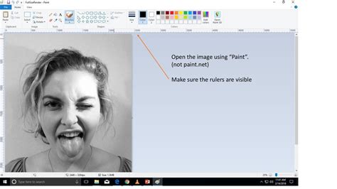Paint Net Not Opening