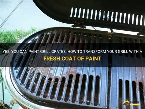 Paint On Grill Grates