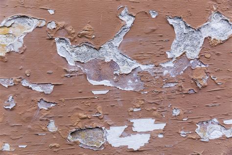 Paint Peeling Off Interior Wall