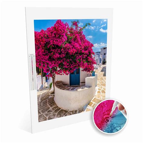 Paint Plot How To Use