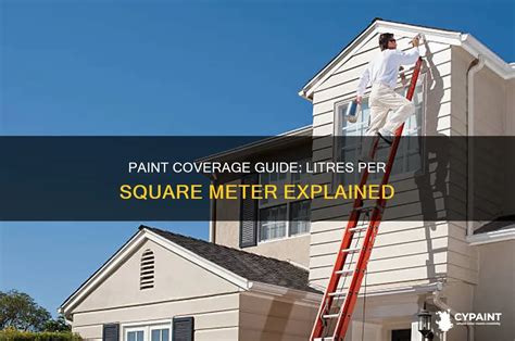 Paint Requirement Per Square Meter
