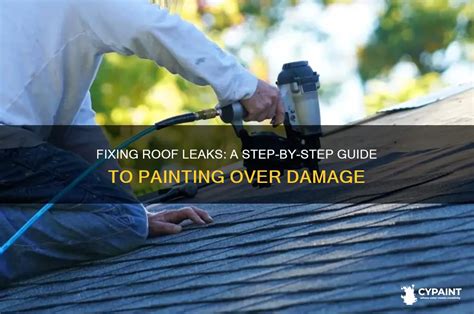 Paint Roof Leak