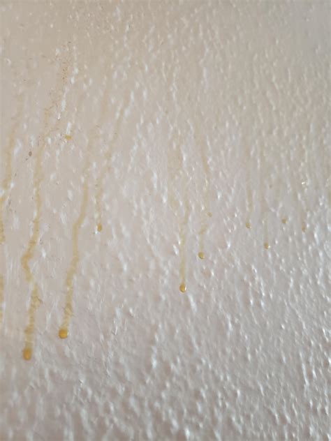 paint running down wall in bathroom