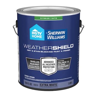 Paint Shield Lowe S