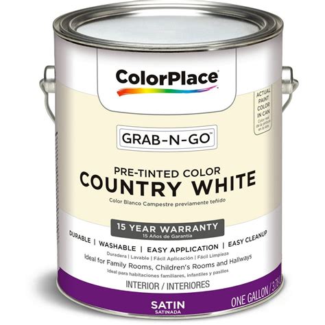 Paint Walmart Gallon